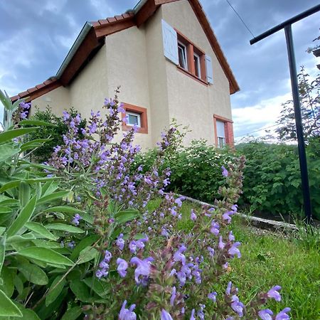 Villa Le Refuge De L'Ours Baerenthal Exterior foto