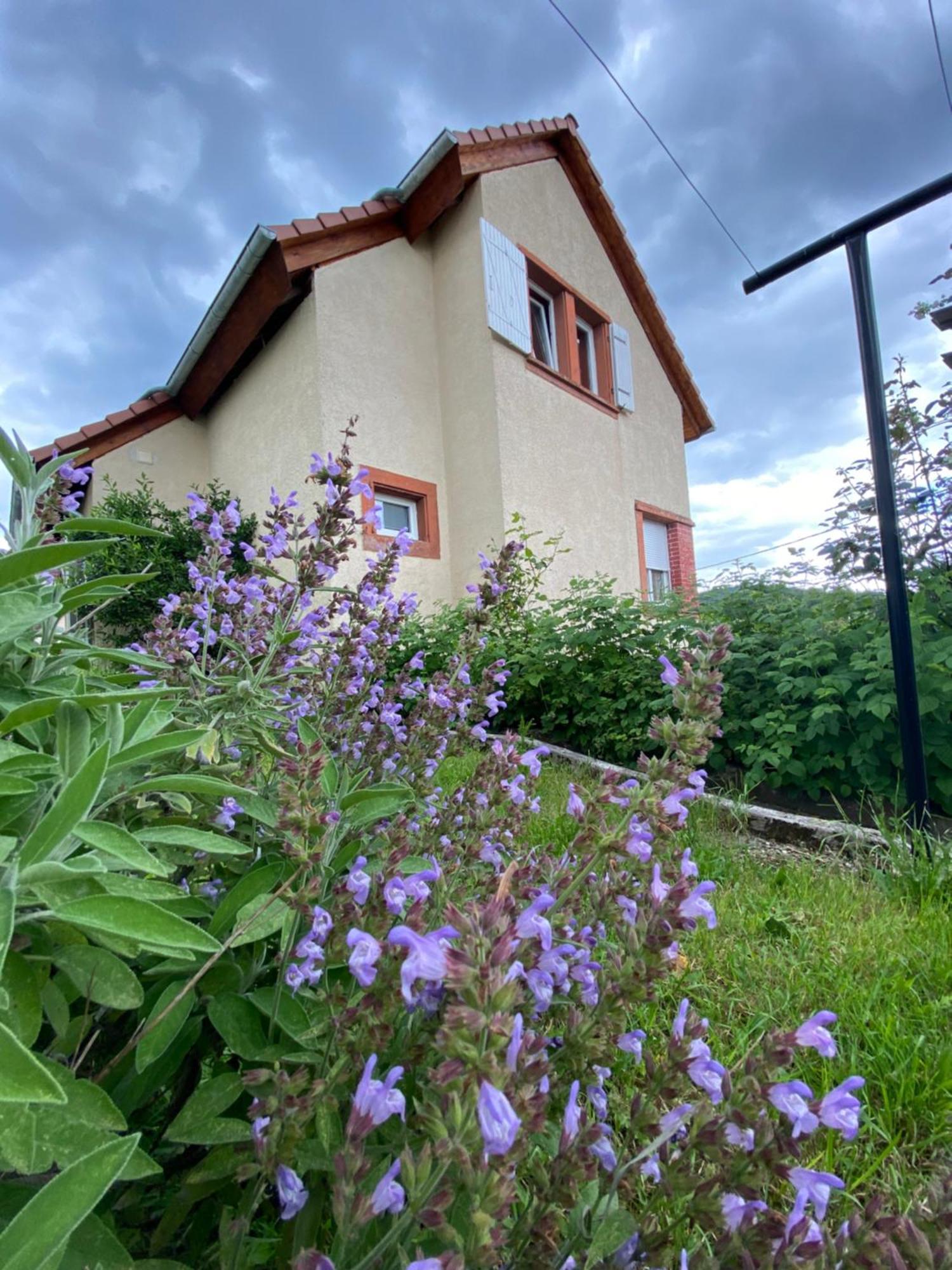 Villa Le Refuge De L'Ours Baerenthal Exterior foto