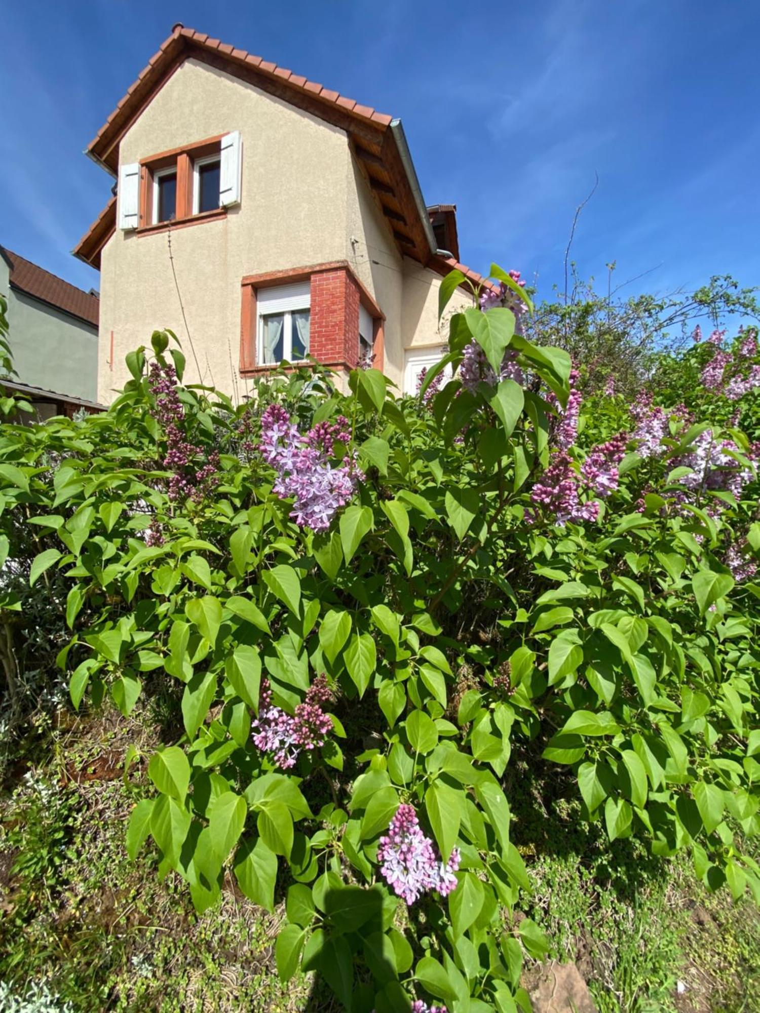 Villa Le Refuge De L'Ours Baerenthal Exterior foto