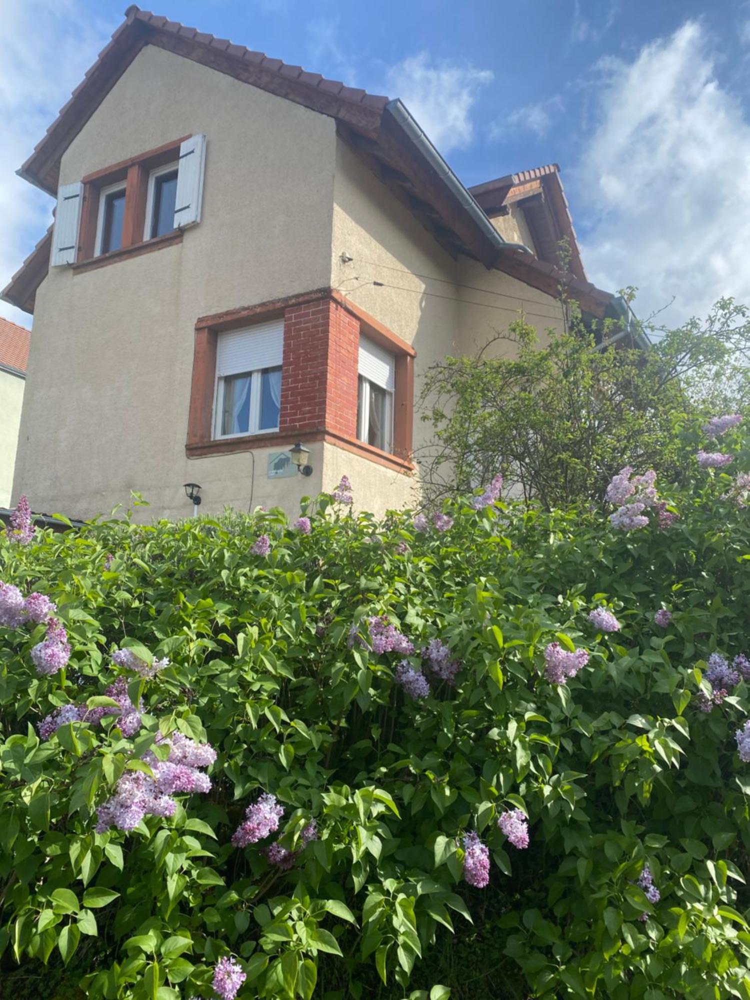 Villa Le Refuge De L'Ours Baerenthal Exterior foto