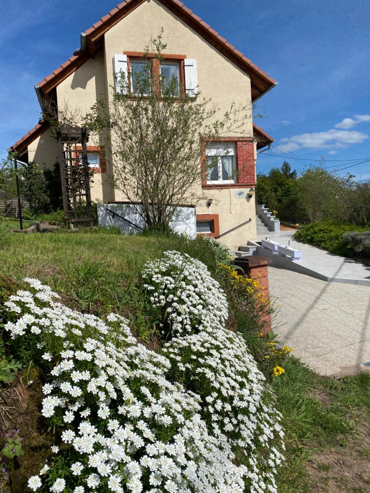 Villa Le Refuge De L'Ours Baerenthal Exterior foto